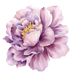 Peony flower