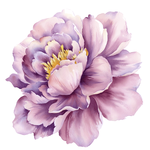 Purple peony flower